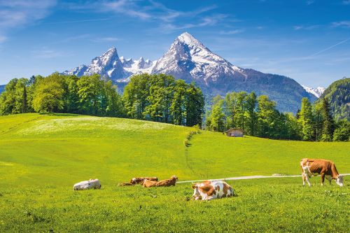 Landschaft in den Alpen